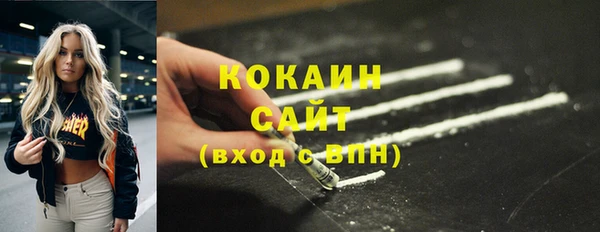 гашик Володарск