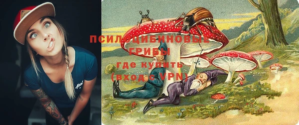 гашик Володарск