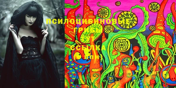каннабис Вяземский